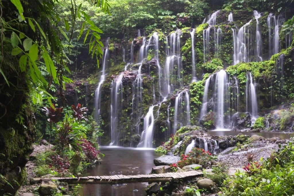 cascade-banyu-wana-amertha-vegetation-bali
