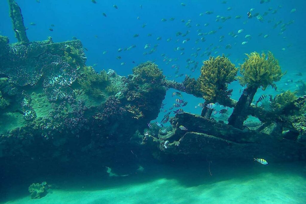 plongee-sous-marine-japanese-ship-wreck-point-amed-bali