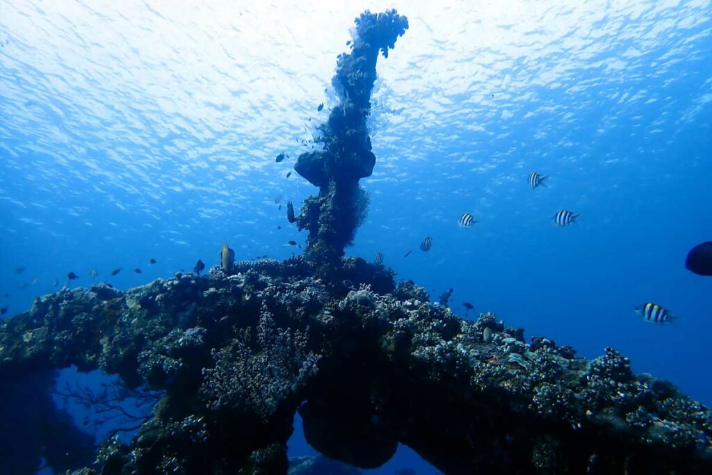 plongee-sous-marine-visite-epave-usat-liberty-amed