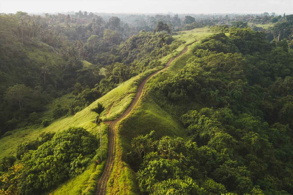 promenade-campuhan-ridge-walk-ubud