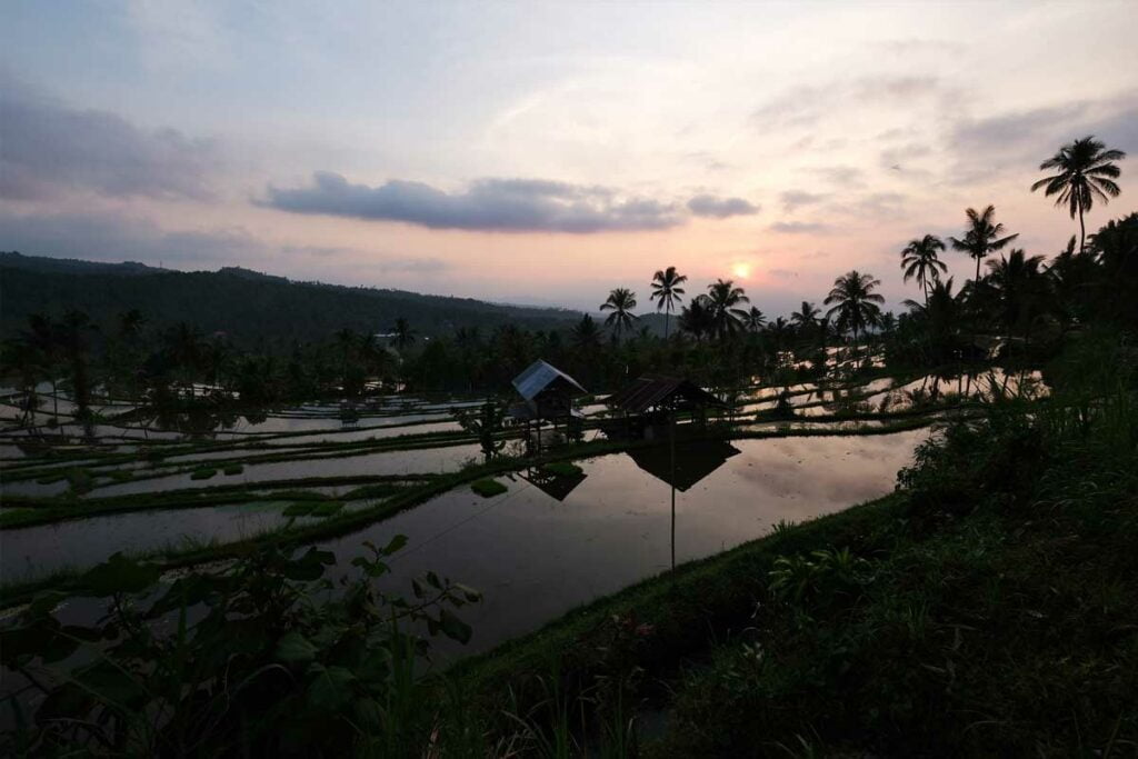 sejourner-a-munduk-plein-nature-bali