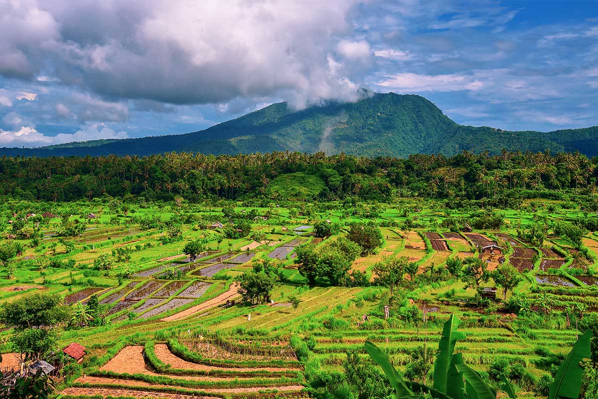 les-plus-belles-rizieres-bali