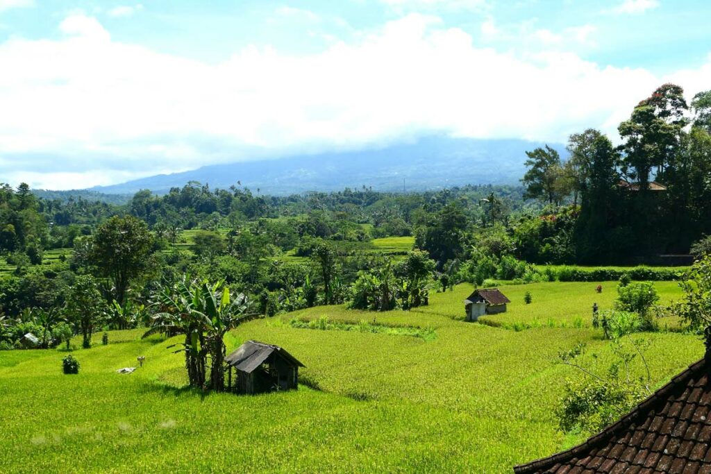 sidemen-region-speciale-bali